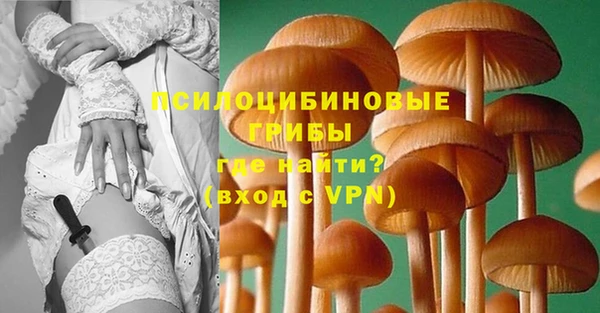 СК Лагань