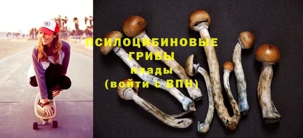 PSILOCYBIN Ладушкин