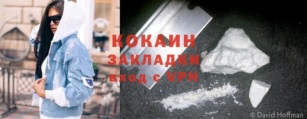 PSILOCYBIN Ладушкин