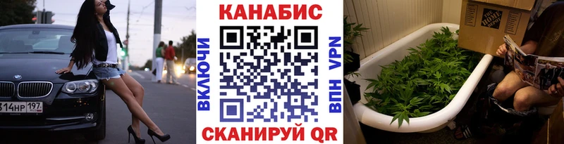 Конопля тримм  где купить наркотик  Тотьма 